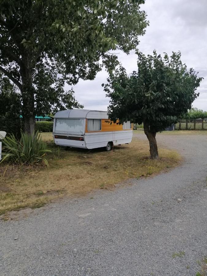 Rangiora Eco Holiday Park Fernside エクステリア 写真